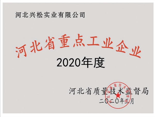 重点工业企业证书